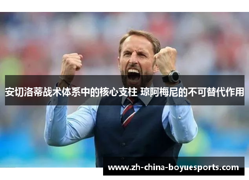 安切洛蒂战术体系中的核心支柱 琼阿梅尼的不可替代作用