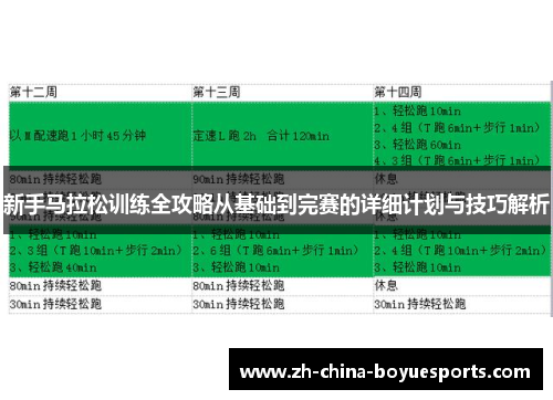 新手马拉松训练全攻略从基础到完赛的详细计划与技巧解析