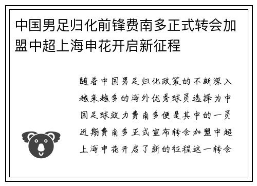 中国男足归化前锋费南多正式转会加盟中超上海申花开启新征程